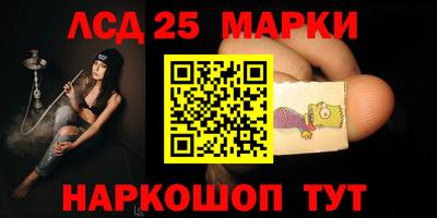 прущие грибы Долгопрудный
