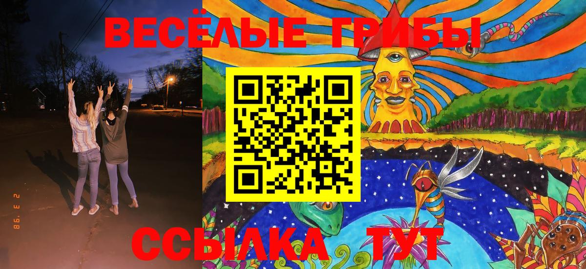 Богородицк  Галлюциногенные грибы Psilocybine cubensis  Вход с VPN 